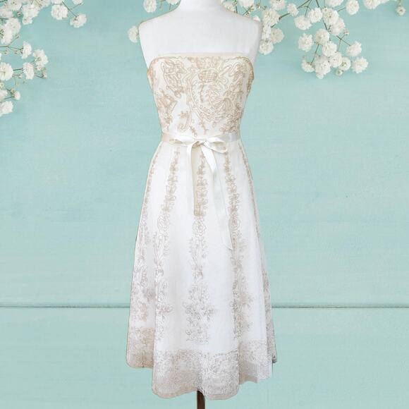 BCBGMazAzria Vintage Ivory Strapless Tulle Midi Dress XS A-line Embroidered - Picture 1 of 9